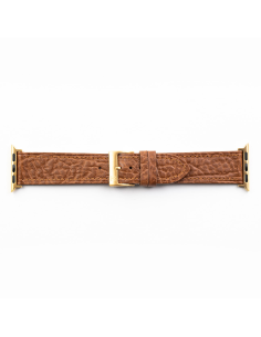 Adaprador Apple Watch Oro 2